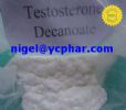 Testosterone Decanoate